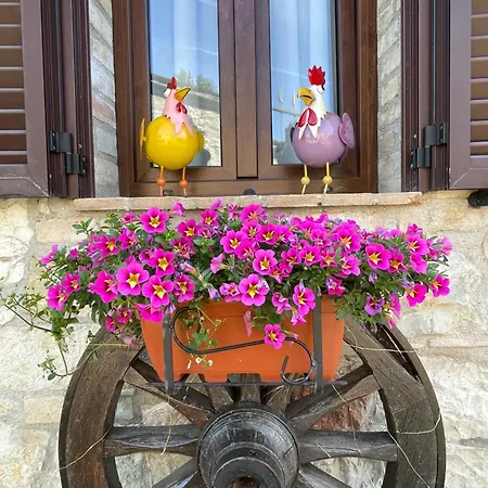 Ca Di Milla Assisi